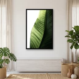 Quadro Decorativo Folha de Bananeira