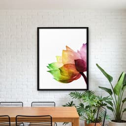 Quadro Decorativo Flor de Lotus Colorida