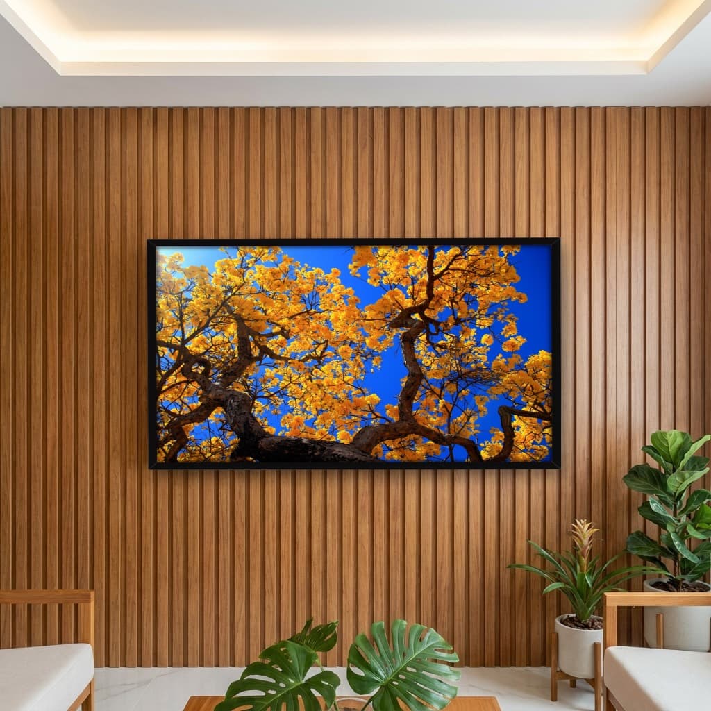Quadro Decorativo Ipê-amarelo Flor Nacional Do Brasil