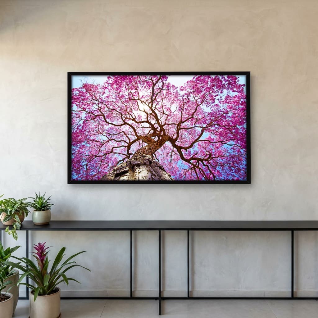 Quadro Decorativo Árvore Lapacho Rosa Na Luz Do Sol