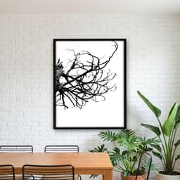 Quadro Decorativo Perto do Galho Seco - parte 2