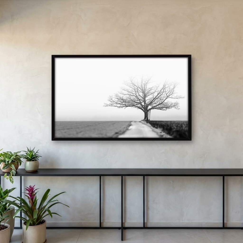 Quadro Decorativo Alvorecer