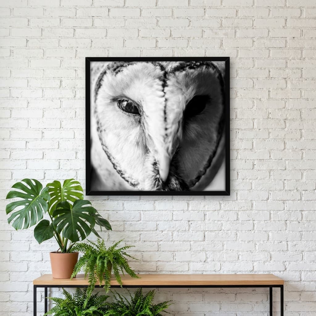 Quadro Decorativo Adorável Rapina