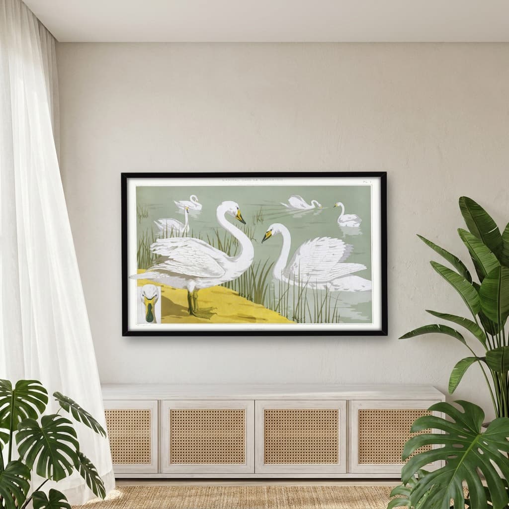 Quadro Decorativo Art Nouveau Swans - Maurice Pillard Verneuil