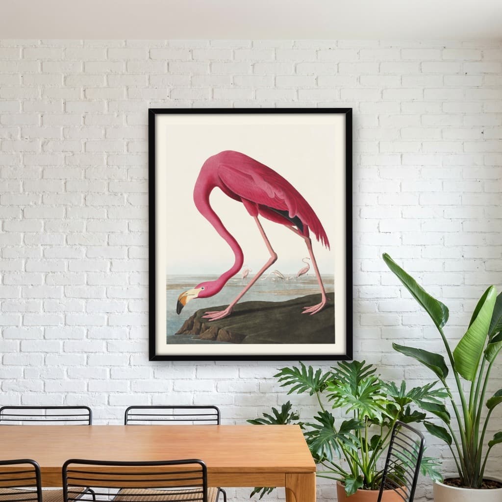 Quadro Decorativo Flamingo - John James Audubon