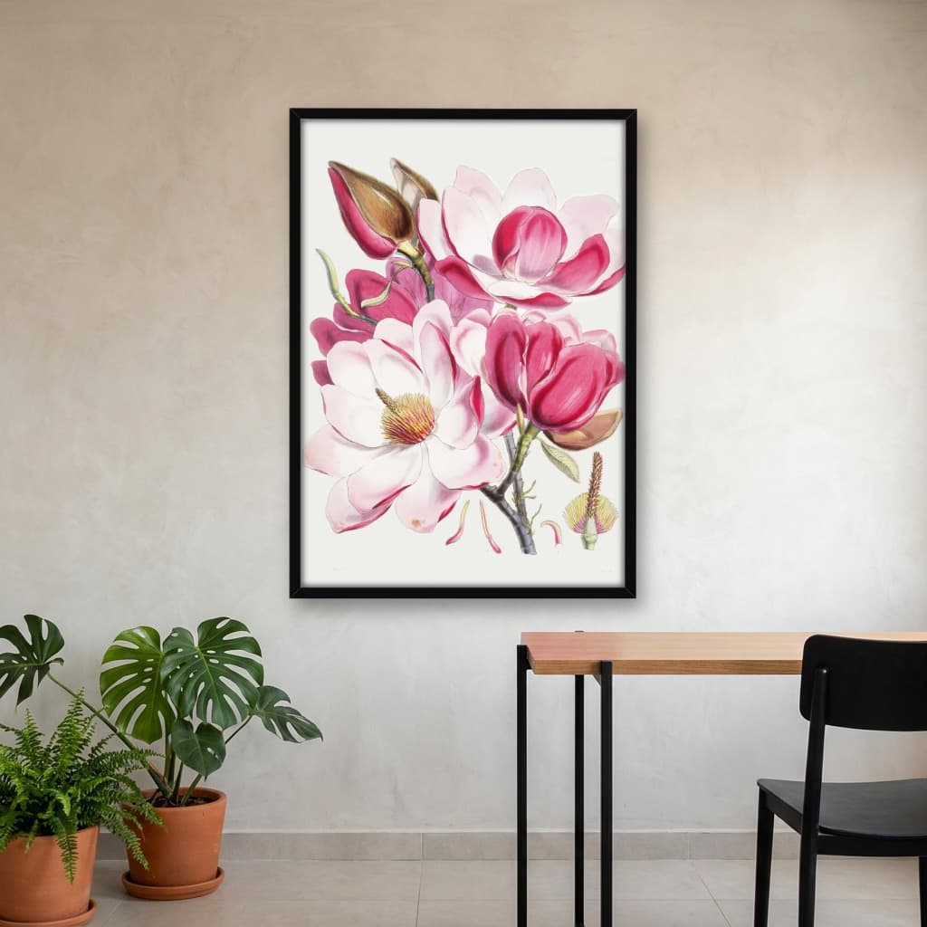 Quadro Decorativo Magnolia Campbellii, H.f. Et T. - Flowering Plant