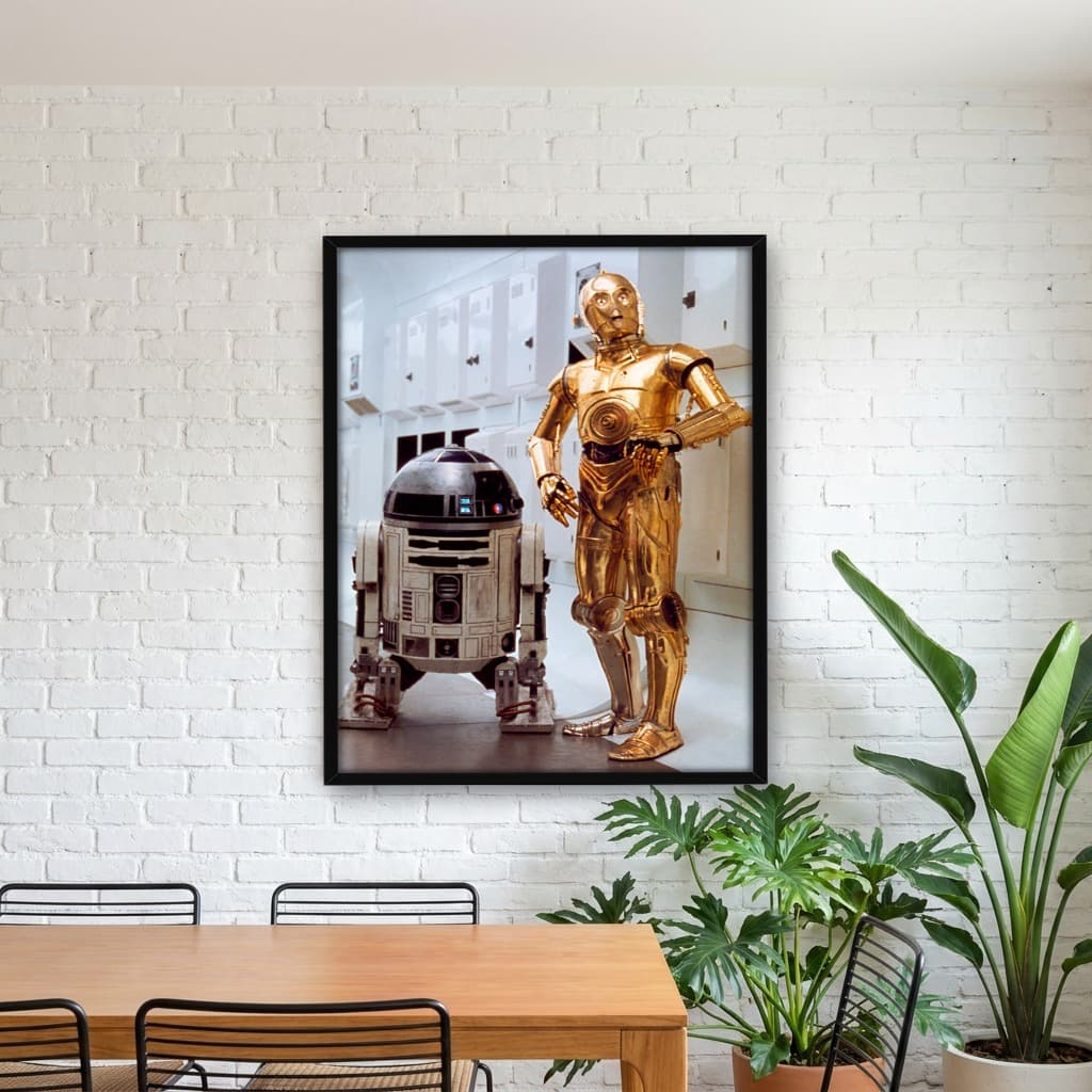 Quadro Decorativo R2-D2 e C-3PO