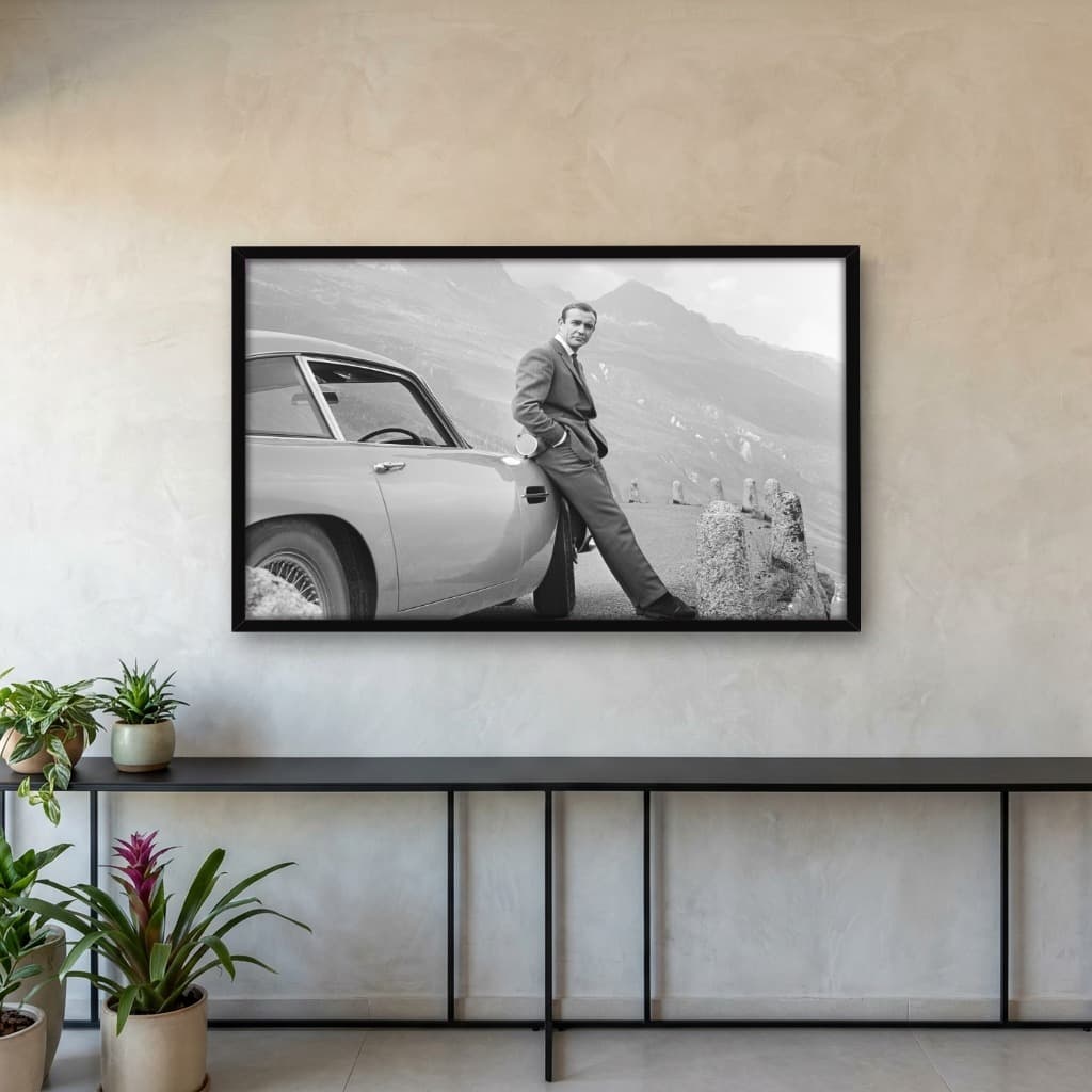 Quadro Decorativo Sean Connery