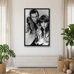 Quadro Decorativo Agente 86