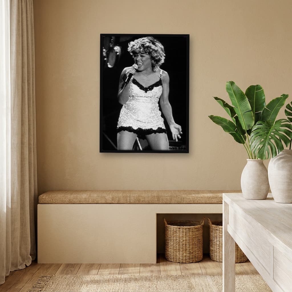 Quadro Decorativo Tina Turner