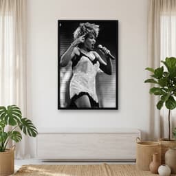 Quadro Decorativo Tina Turner