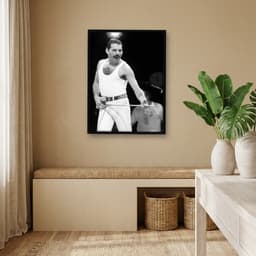 Quadro Decorativo Freddie Mercury