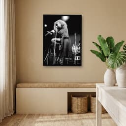 Quadro Decorativo Jethro Tull
