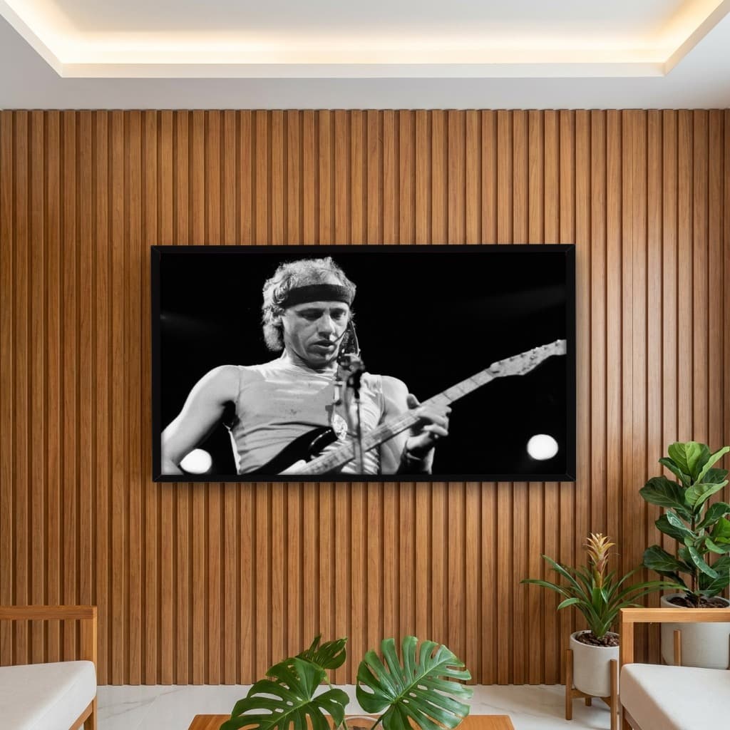 Quadro Decorativo Mark Knopfler