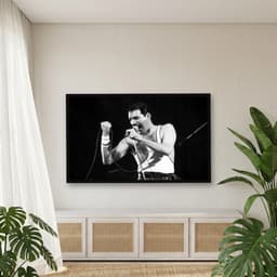 Quadro Decorativo Freddie Mercury