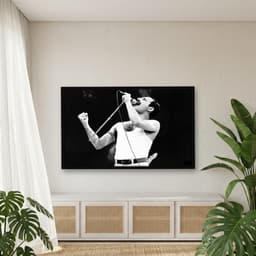 Quadro Decorativo Freddie Mercury