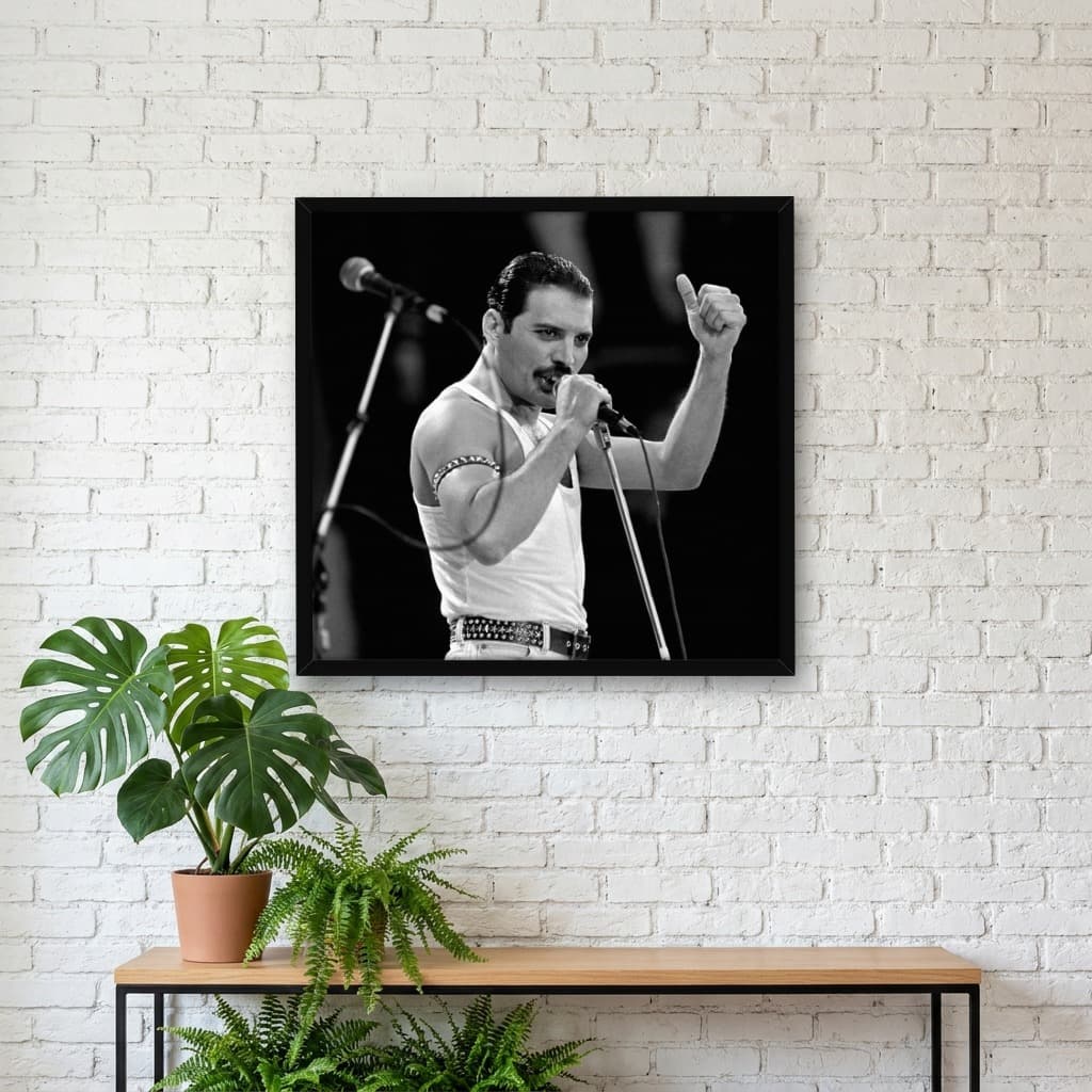 Quadro Decorativo Freddie Mercury