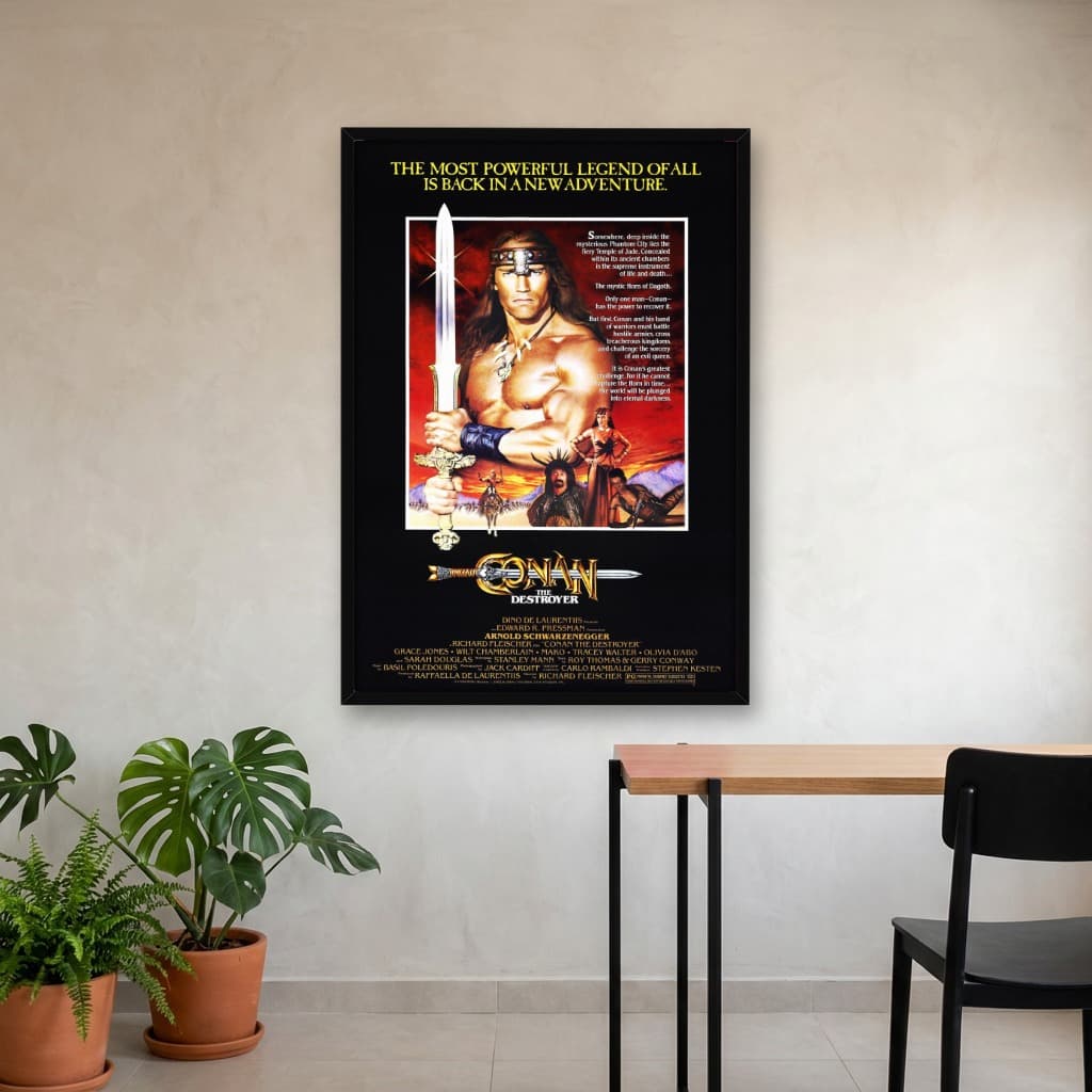 Quadro Decorativo Conan, o Destruidor