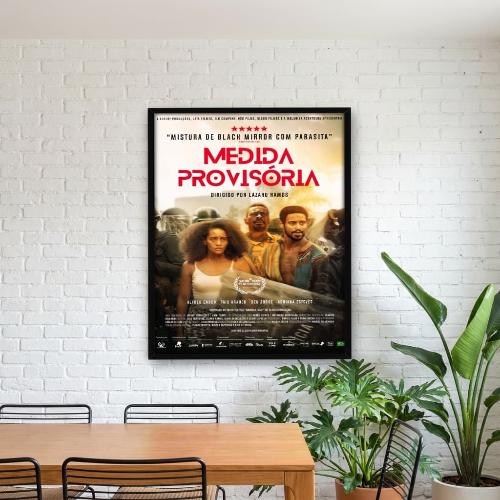 Quadro Decorativo Medida Provisória