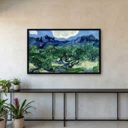 Quadro Decorativo Pintura Oliveiras Obra do Artista Vincent van Gogh