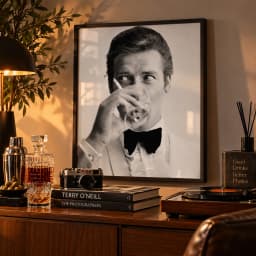 Quadro Decorativo Roger Moore – Shaken Not Stirred